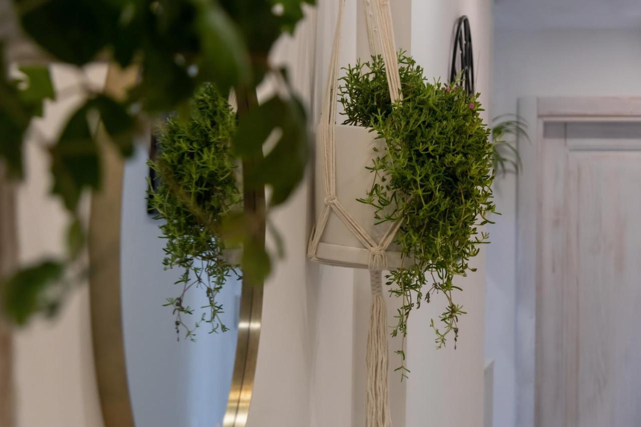 Maison Etoile ピアーノ・ディ・ソッレント エクステリア 写真